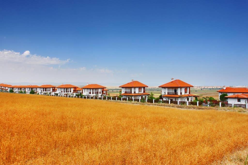 아헬로이 Generaator House 빌라 외부 사진